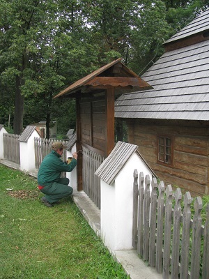 Krzysztof Szczygieł