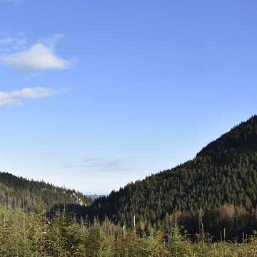 BARWY MAŁOPOLSKICH LASÓW - ZAKOPANE 2017